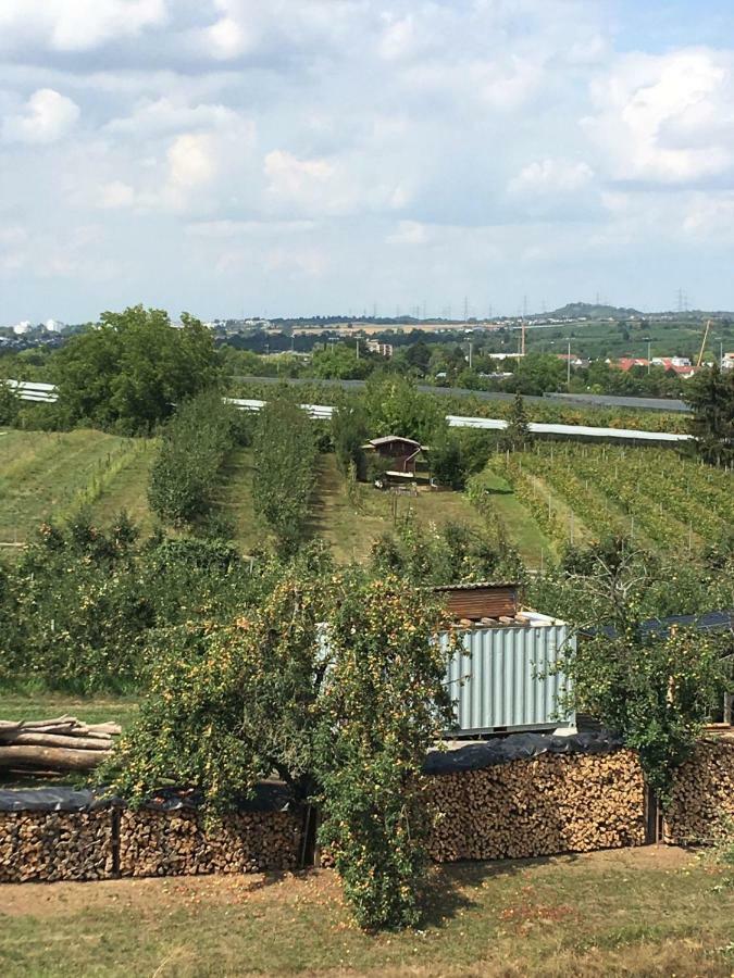 Ferienwohnungen Weinstadt Exterior foto